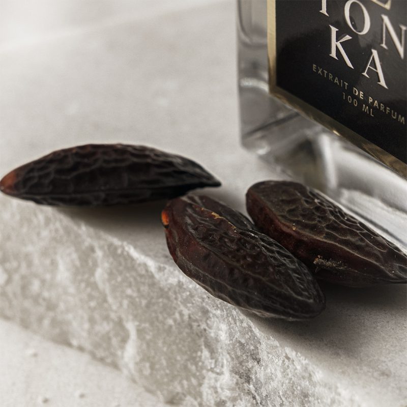 POMME TONKA